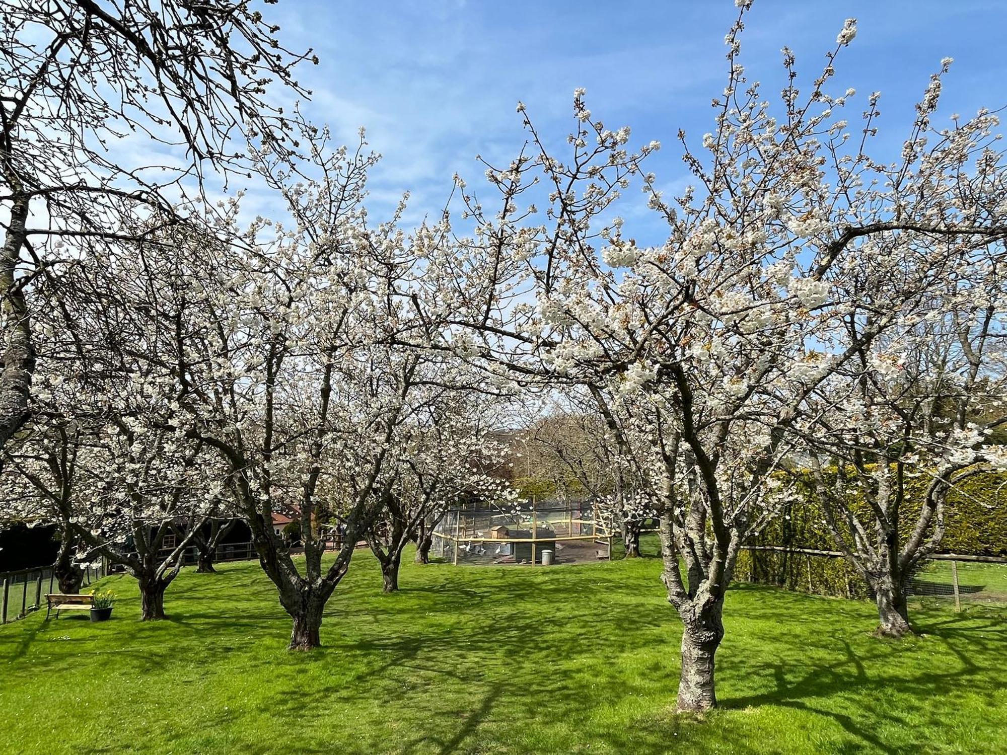 Lekido Villa Hernhill Dış mekan fotoğraf